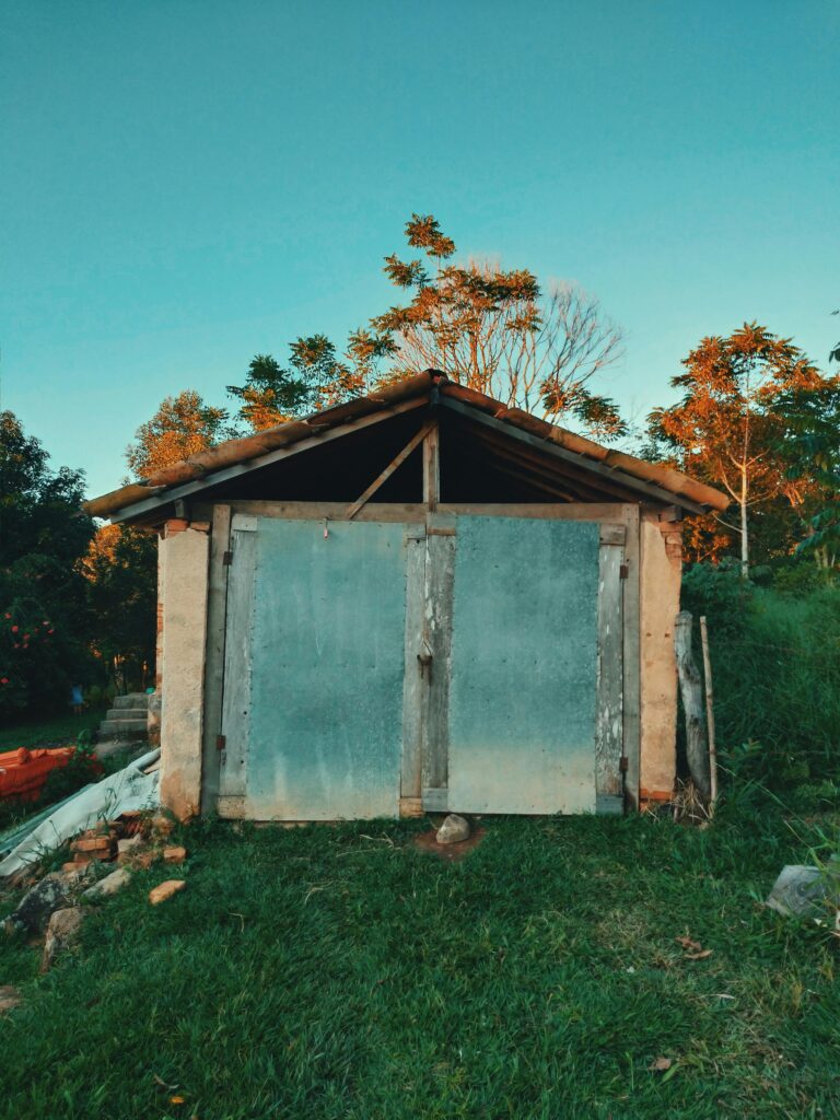 pexels-photo-2904295-2904295 A rustic shed amidst lush greenery and trees in daylight. Perfect for themes of solitude and abandonment.